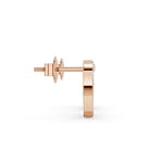 Load image into Gallery viewer, Beloved Heart Spark Earrings