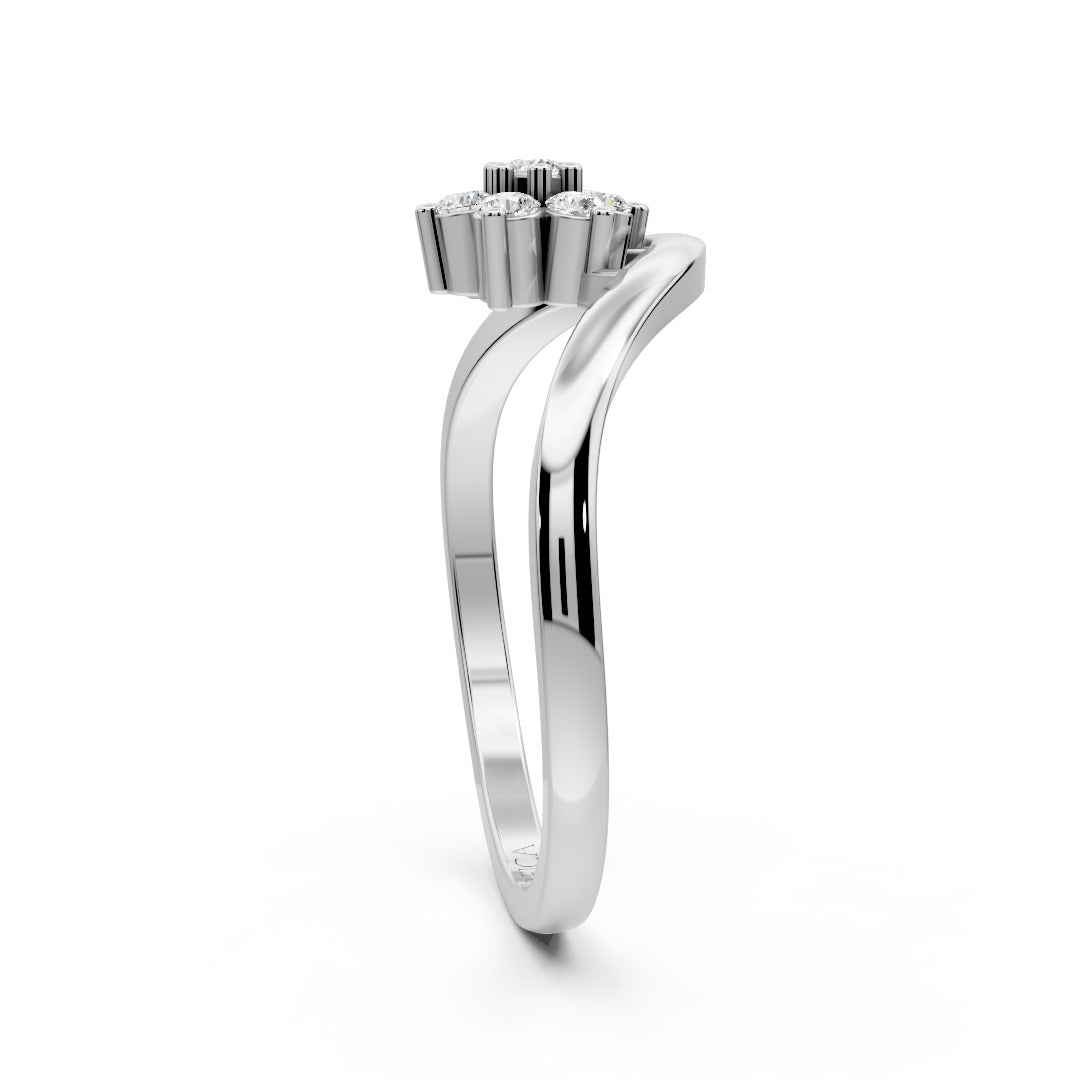 Minimal Classic Ring
